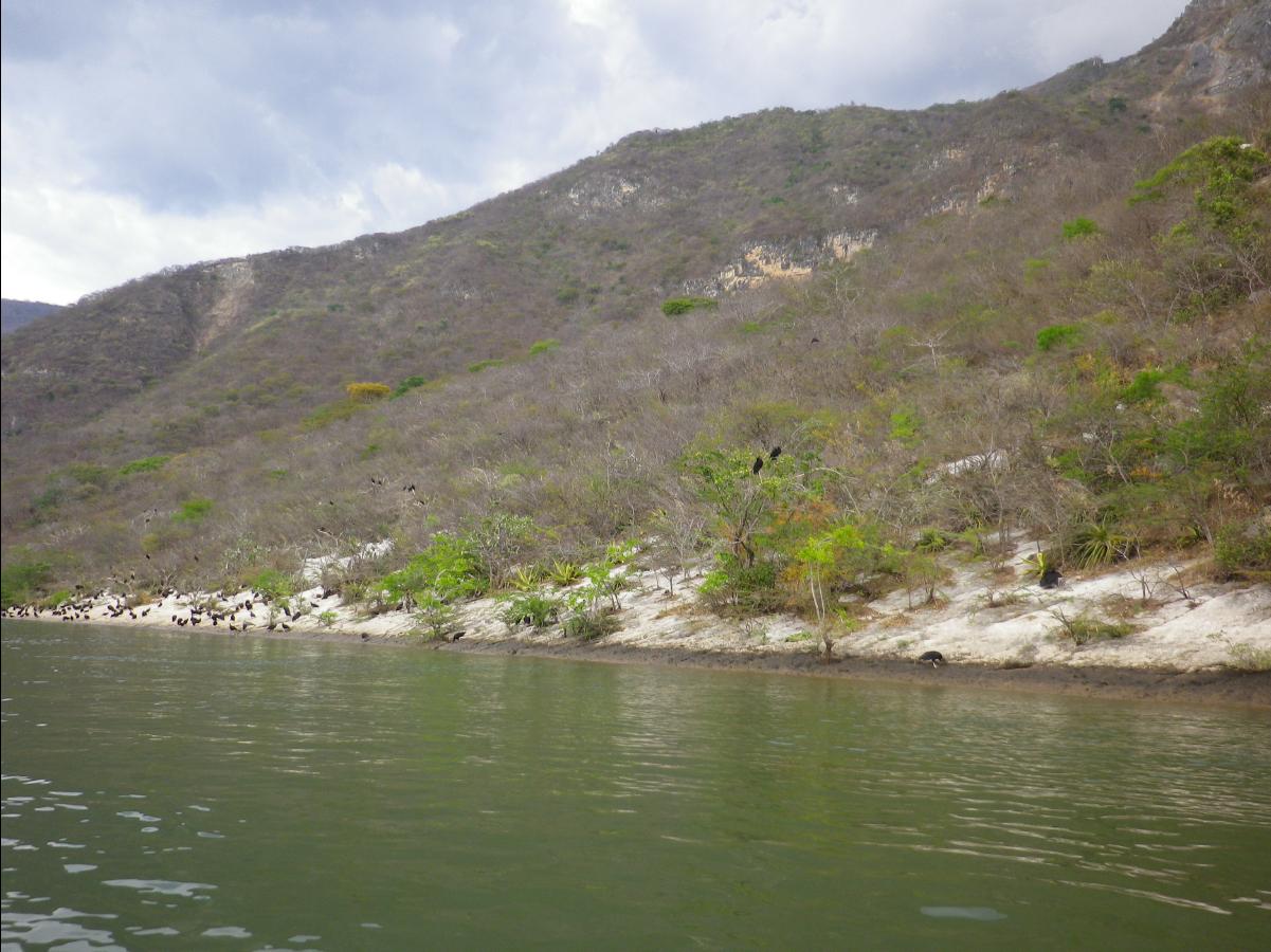 Sumidero Canyon near Tuxtla Gutierrez054